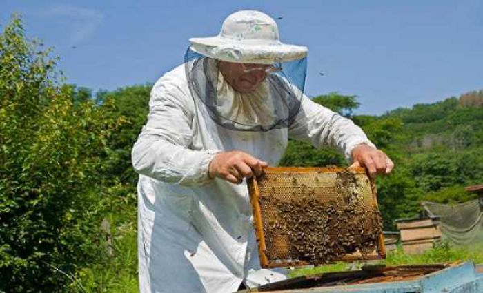 Σήμα κινδύνου από τους μελισσοκόμους των Χανίων