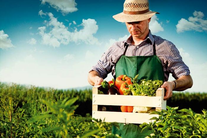 Μέσω του  ΜΑΙΧ σχεδιαστική Σκέψη για την επιχειρηματικότητα στον αγροδιατροφικό τομέα