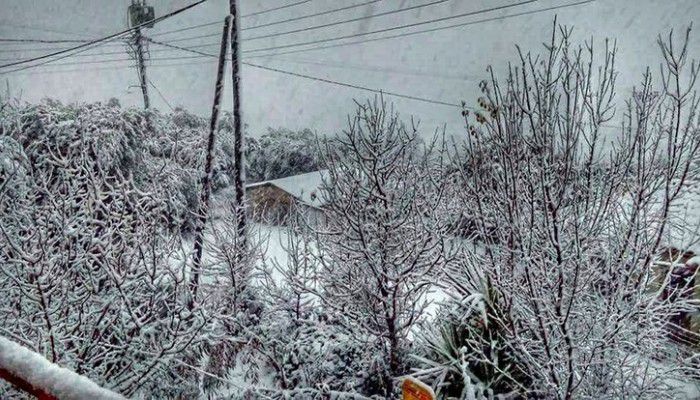 Δηλώσεις ζημιών από χιονόπτωση στον Δήμο Κισσάμου