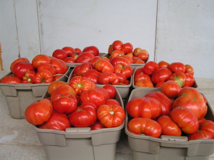 Διανέμει ντομάτες σε δικαιούχους ΤΕΒΑ ο Δήμος Πλατανιά
