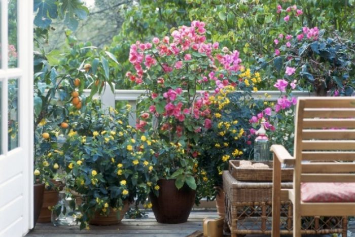 Διαγωνισμός για τον «καλύτερο κήπο &amp; «καλύτερο μπαλκόνι» στο Δήμο Χανίων