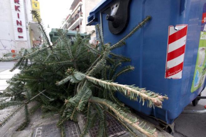 Ανακύκλωση φυσικών Χριστουγεννιάτικων δένδρων