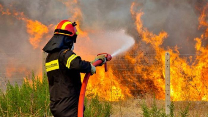 Στάχτη έγιναν 200 στρέμματα στην Κίσαμο - Κάηκαν ελιές &amp; δασική έκταση