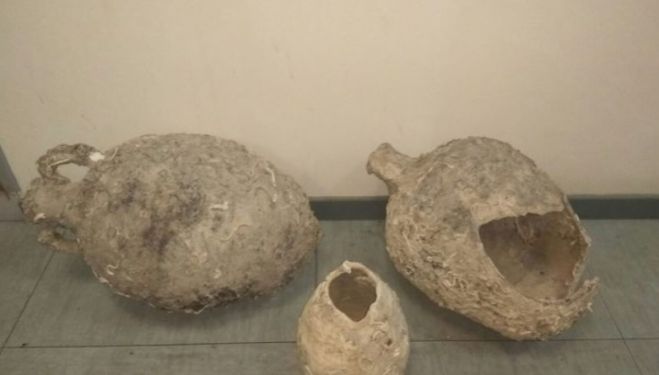 &Mu;&alpha;&zeta;ί &mu;&epsilon; &tau;&eta;&nu; &psi;&alpha;&rho;&iota;ά &tau;&omicron;&upsilon;&sigmaf; &alpha;&lambda;ί&epsilon;&upsilon;&sigma;&alpha;&nu; &kappa;&alpha;&iota; &delta;ύ&omicron; &alpha;&mu;&phi;&omicron;&rho;&epsilon;ί&sigmaf;
