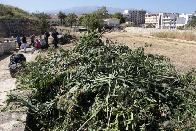 &Sigma;&epsilon; &epsilon;&xi;έ&lambda;&iota;&xi;&eta; &epsilon;&rho;&gamma;&alpha;&sigma;ί&epsilon;&sigmaf; &kappa;&alpha;&theta;&alpha;&rho;&iota;&sigma;&mu;&omicron;ύ-&alpha;&pi;&omicron;&psi;ί&lambda;&omega;&sigma;&eta;&sigmaf; &kappa;&alpha;&iota; &kappa;&alpha;&lambda;&lambda;&omega;&pi;&iota;&sigma;&mu;&omicron;ύ &sigma;&tau;&omicron; &Delta;&upsilon;&tau;&iota;&kappa;ό &Tau;&mu;ή&mu;&alpha; &tau;&omega;&nu; &Epsilon;&nu;&epsilon;&tau;&iota;&kappa;ώ&nu; &Omicron;&chi;&upsilon;&rho;ώ&sigma;&epsilon;&omega;&nu;