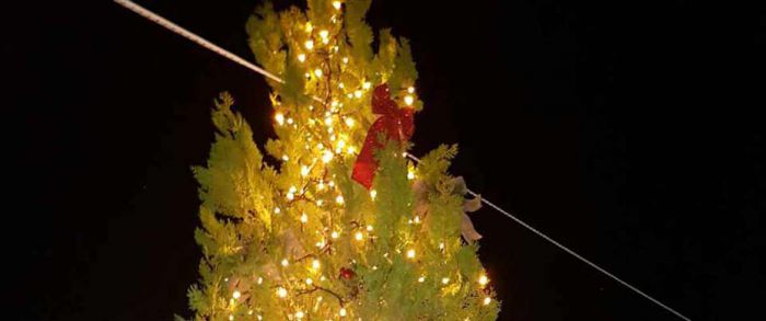 &Phi;&omega;&tau;&alpha;&gamma;ώ&gamma;&eta;&sigma;&eta; &Chi;&rho;&iota;&sigma;&tau;&omicron;&upsilon;&gamma;&epsilon;&nu;&nu;&iota;ά&tau;&iota;&kappa;&omicron;&upsilon; &Delta;έ&nu;&delta;&rho;&omicron;&upsilon; &sigma;&tau;&eta;&nu; Έ&delta;&rho;&alpha; &tau;&omicron;&upsilon; &Delta;ή&mu;&omicron;&upsilon; &Pi;&lambda;&alpha;&tau;&alpha;&nu;&iota;ά