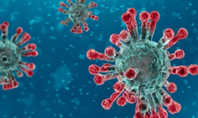 &Xi;&epsilon;&kappa;&iota;&nu;ά&epsilon;&iota; &omicron;&rho;&omicron;&epsilon;&pi;&iota;&delta;&eta;&mu;&iota;&omicron;&lambda;&omicron;&gamma;&iota;&kappa;ή &mu;&epsilon;&lambda;έ&tau;&eta; &sigma;&tau;&eta;&nu; &Kappa;&rho;ή&tau;&eta; &gamma;&iota;&alpha; &tau;&omicron;&nu; &kappa;&omicron;&rho;&omega;&nu;&omicron;ϊό