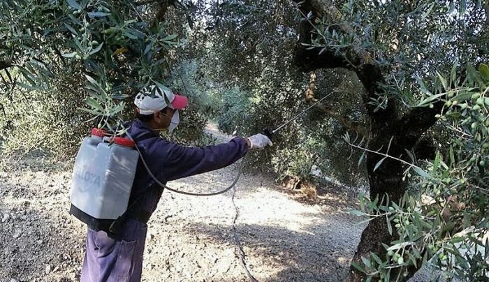 Ξεκίνησαν οι δολωματικοί ψεκασμοί στον Αποκόρωνα