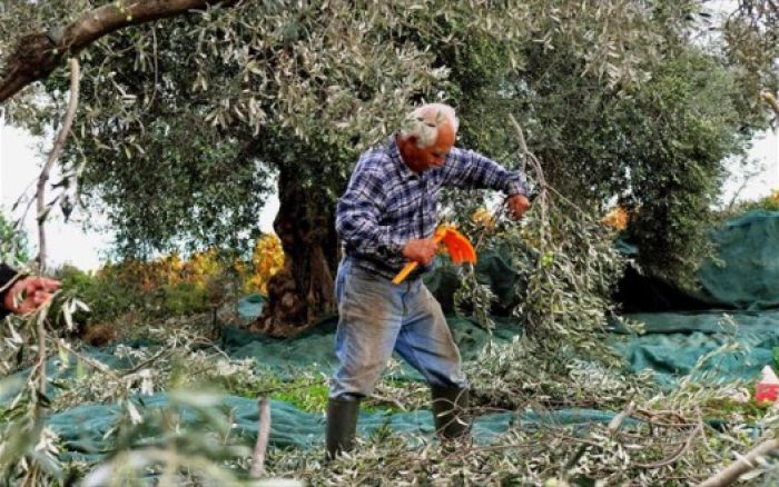 Μελετητές &quot;μαϊμού&quot; προσπαθούν να εξαπατήσουν αγρότες