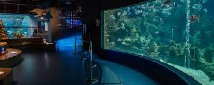 Ενυδρείο Κρήτης: Προληπτική αναστολή λειτουργίας λόγω κορωνοιού