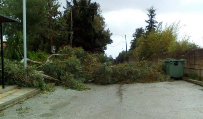 &Pi;&rho;&omicron;&beta;&lambda;ή&mu;&alpha;&tau;&alpha; &alpha;&pi;ό &tau;&omicron;&upsilon;&sigmaf; &alpha;&nu;έ&mu;&omicron;&upsilon;&sigmaf; &sigma;&tau;&alpha; &Chi;&alpha;&nu;&iota;ά