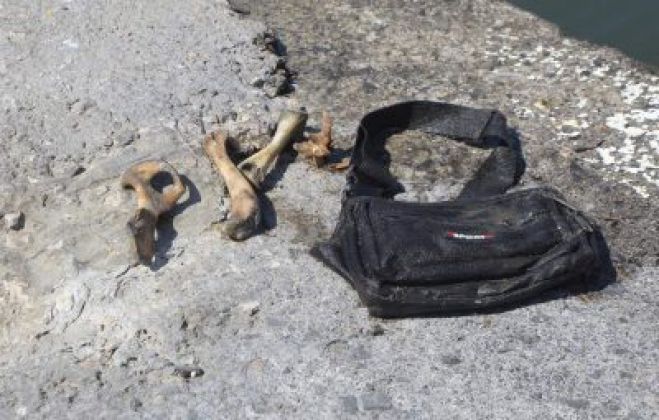 Λύθηκε το μυστήριο με τα &quot;ορφανά&quot; οστά στο Ηράκλειο