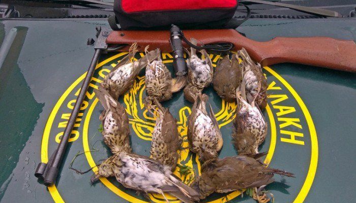 &Sigma;ύ&lambda;&lambda;&eta;&psi;&eta; &epsilon;&nu;ό&sigmaf; ά&nu;&delta;&rho;&alpha; &gamma;&iota;&alpha; &pi;&alpha;&rho;ά&nu;&omicron;&mu;&eta; &theta;ή&rho;&alpha; &pi;&tau;&eta;&nu;ώ&nu;