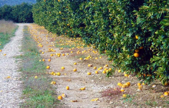 &Alpha;&nu;&alpha;&gamma;&gamma;&epsilon;&lambda;ί&alpha; &zeta;&eta;&mu;&iota;ά&sigmaf; &alpha;&pi;ό &alpha;&nu;&epsilon;&mu;&omicron;&theta;ύ&epsilon;&lambda;&lambda;&alpha;
