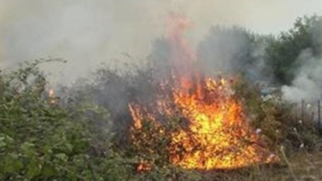 Πυρκαγιά προκάλεσε ζημιές σε κοντέινερ και αποθήκη στην Αγυιά