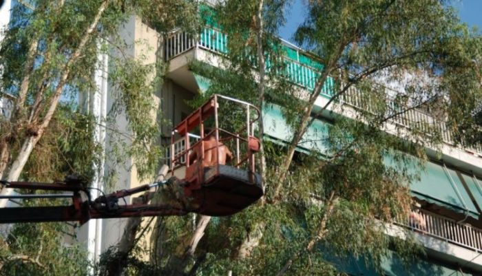 Συνεχίζεται το κλάδεμα δέντρων στην οδό Α. Παπανδρέου και αύριο Παρασκευή 21/2/2020