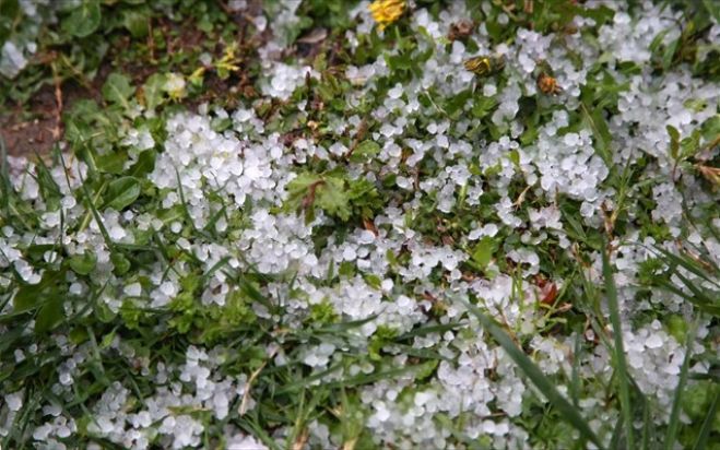 &Alpha;&nu;&alpha;&gamma;&gamma;&epsilon;&lambda;ί&alpha; &zeta;&eta;&mu;&iota;ώ&nu; &sigma;&tau;&omicron;&nu; &Epsilon;&Lambda;&Gamma;&Alpha; &gamma;&iota;&alpha; &tau;&iota;&sigmaf; &kappa;&alpha;&tau;&alpha;&sigma;&tau;&rho;&omicron;&phi;έ&sigmaf; &sigma;&tau;&eta;&nu; &Kappa;ί&sigma;&sigma;&sigma;&alpha;&mu;&omicron;