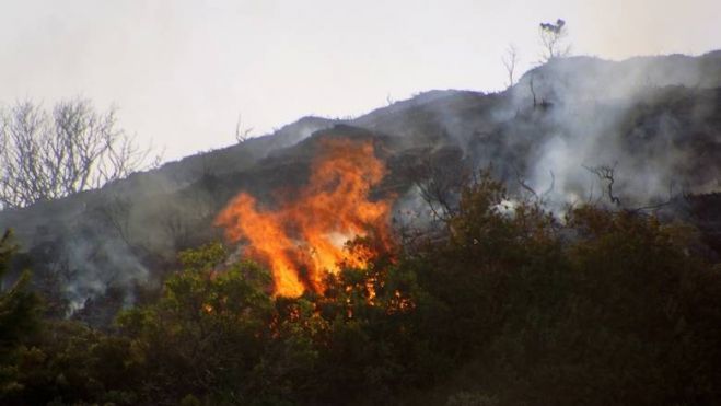 Υπό έλεγχο η πυρκαγιά σε περιοχή του Κρουσώνα