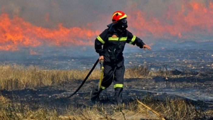 Έκαιγαν χόρτα και η φωτιά τους ξέφυγε - Δύο συλλήψεις