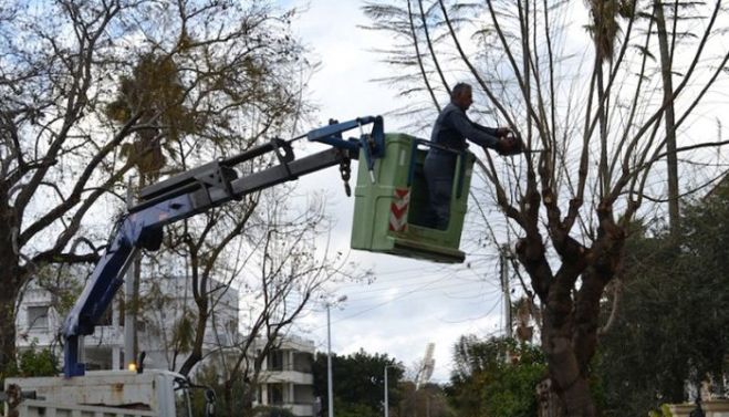 Εργασίες κλαδέματος δέντρων στις οδούς Σφακίων και Αρχοντάκη