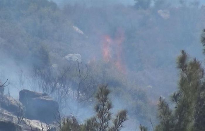 Φωτιά στην Κάντανο κατέκαψε δασική έκταση