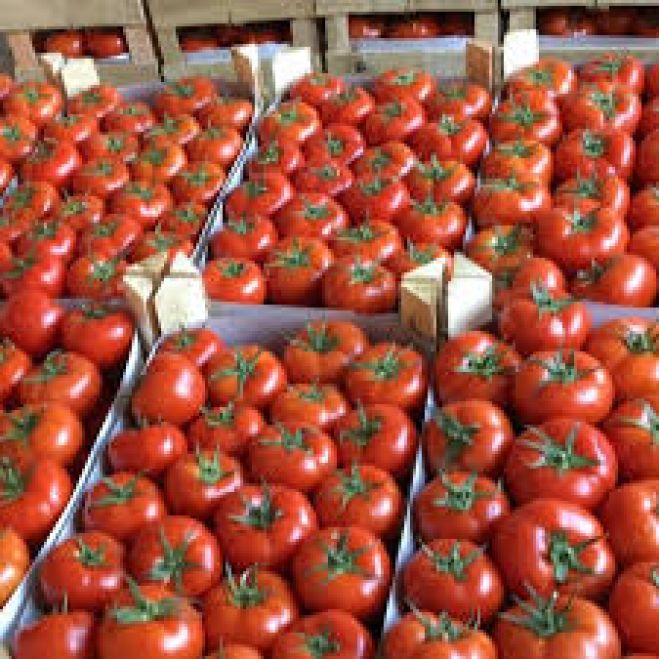 &Epsilon;&xi;&iota;&chi;&nu;&iota;ά&sigma;&tau;&eta;&kappa;&epsilon; &upsilon;&pi;ό&theta;&epsilon;&sigma;&eta; &alpha;&pi;ά&tau;&eta;&sigmaf; ά&nu;&omega; &tau;&omega;&nu; 16.000 &epsilon;&upsilon;&rho;ώ &sigma;&tau;&alpha; &Chi;&alpha;&nu;&iota;ά