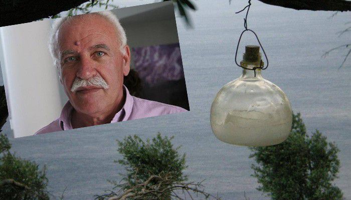 Βουλγαράκης: Δακοκτονία δεν γίνεται με αυτές τις συνθήκες