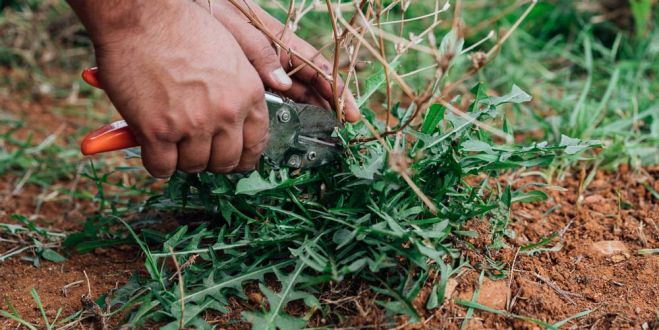 &Delta;&Eta;&Lambda;&Omega;&Sigma;&Epsilon;&Iota;&Sigma; &Zeta;&Eta;&Mu;&Iota;&Omega;&Nu; &Sigma;&Tau;&Omicron; &Sigma;&Tau;&Alpha;&Mu;&Nu;&Alpha;&Gamma;&Kappa;&Alpha;&Theta;&Iota;