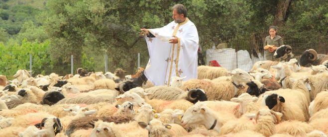 Αση Γωνιά: Το πανηγύρι του Αγ. Γεωργίου και η ευλογία των αιγοπροβάτων