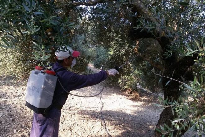 &Sigma;ύ&sigma;&kappa;&epsilon;&psi;&eta; &sigma;&tau;&eta; &Pi;&epsilon;&rho;&iota;&phi;έ&rho;&epsilon;&iota;&alpha; &gamma;&iota;&alpha; &tau;&eta; &delta;&alpha;&kappa;&omicron;&kappa;&tau;&omicron;&nu;ί&alpha; &kappa;&alpha;&iota; &tau;&omicron;&nu; έ&lambda;&epsilon;&gamma;&chi;&omicron; &sigma;&tau;&eta;&nu;  &alpha;&gamma;&omicron;&rho;ά &kappa;&rho;έ&alpha;&tau;&omicron;&sigmaf;