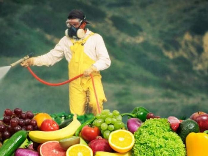 Σε πόσα φυτικά προϊόντα που πωλήθηκαν στα Χανιά βρέθηκαν φυτοφάρμακα