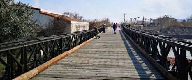 &Delta;&iota;&alpha;&kappa;ό&pi;&tau;&epsilon;&tau;&alpha;&iota; &eta; &kappa;&upsilon;&kappa;&lambda;&omicron;&phi;&omicron;&rho;ί&alpha; &sigma;&tau;&eta; &gamma;έ&phi;&upsilon;&rho;&alpha; &tau;&omicron;&upsilon; &Pi;&lambda;&alpha;&tau;&alpha;&nu;&iota;ά &tau;&eta;&nu; &mu;&epsilon;&theta;&epsilon;&pi;ό&mu;&epsilon;&nu;&eta; &epsilon;&beta;&delta;&omicron;&mu;ά&delta;&alpha;