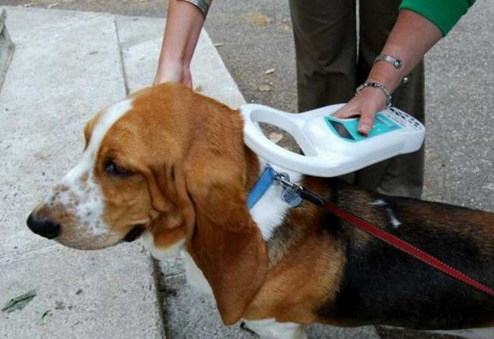 5 σκάνερ σε Αστυνομικά Τμήματα του νομού Χανίων για τον έλεγχο των δεσποζόμενων ζώων