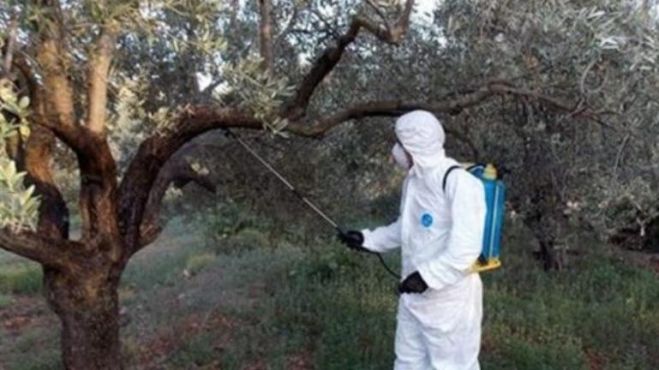 Πρόσθετη Χρηματοδότηση για το Πρόγραμμα Δακοκτονίας