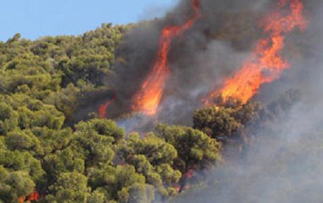 Ένα άτομο συνελήφθη για την φωτιά στην Κίσαμο