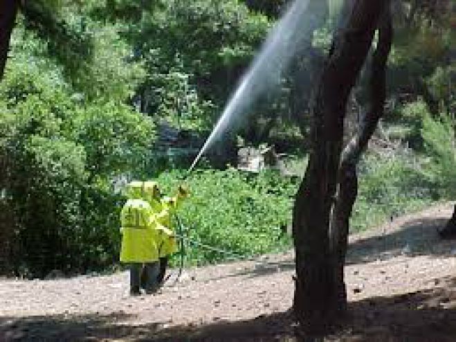 Για τρία χρόνια οι εργολάβοι για την δακοκτονία στην Κρήτη - Ο διαγωνισμός