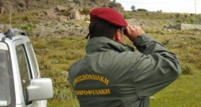 ΛΑΓΟ… ΝΙΚΑ ΕΠΙΑΣΑΝ ΛΑΘΡΟΘΗΡΑ