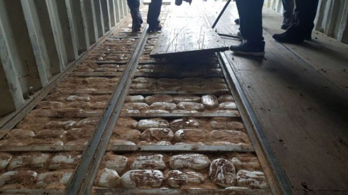 &Pi;&rho;&omicron;&phi;&upsilon;&lambda;&alpha;&kappa;ί&sigma;&tau;&eta;&kappa;&epsilon; &tau;&omicron; 11&mu;&epsilon;&lambda;έ&sigmaf; &pi;&lambda;ή&rho;&omega;&mu;&alpha; &tau;&omicron;&upsilon; &nu;&alpha;&rho;&kappa;ό&pi;&lambda;&omicron;&iota;&omicron;&upsilon; &laquo;&Omicron;LA&raquo;