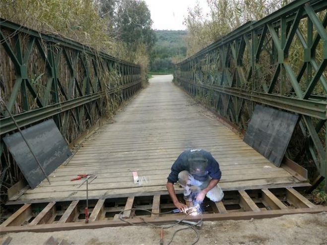 &Nu;έ&alpha; &delta;&iota;&alpha;&kappa;&omicron;&pi;ή &kappa;&upsilon;&kappa;&lambda;&omicron;&phi;&omicron;&rho;ί&alpha;&sigmaf; &sigma;&tau;&omicron; &delta;&rho;ό&mu;&omicron; &Pi;&lambda;&alpha;&tau;&alpha;&nu;&iota;ά &ndash; &Pi;&alpha;&tau;&epsilon;&lambda;ά&rho;&iota;