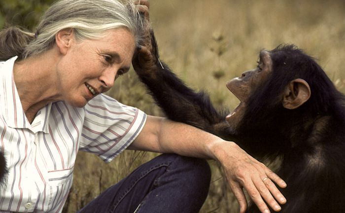 Στο Ηράκλειο η σπουδαία ανθρωπολόγος Dr Jane Goodall
