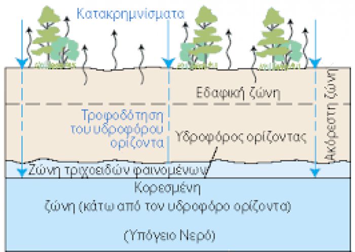 «Το υπόγειο ταξίδι του νερού» στο Μουσείο Φυσικής Ιστορίας