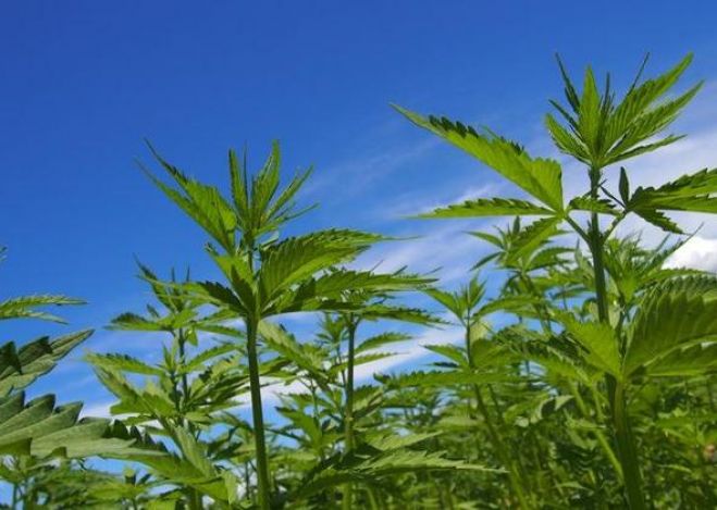 &Epsilon;&nu;&tau;&omicron;&pi;ί&sigma;&tau;&eta;&kappa;&alpha;&nu; &sigma;&epsilon; &epsilon;&iota;&delta;&iota;&kappa;ά &delta;&iota;&alpha;&mu;&omicron;&rho;&phi;&omega;&mu;έ&nu;&omicron; &chi;ώ&rho;&omicron; &epsilon;ί&kappa;&omicron;&sigma;&iota; έ&nu;&alpha; (21)  &delta;&epsilon;&nu;&delta;&rho;ύ&lambda;&lambda;&iota;&alpha; &kappa;ά&nu;&nu;&alpha;&beta;&eta;&sigmaf;