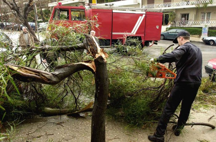 Κλάδεμα δέντρων στην πλατεία Χορτατσών