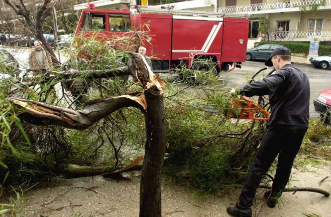 Κλάδεμα δέντρων στην πλατεία Χορτατσών