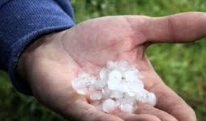 &Chi;&omicron;&rho;ή&gamma;&eta;&sigma;&eta; &Sigma;&tau;&epsilon;&gamma;&alpha;&sigma;&tau;&iota;&kappa;ή&sigmaf; &Sigma;&upsilon;&nu;&delta;&rho;&omicron;&mu;ή&sigmaf; &sigma;&tau;&omicron;&upsilon;&sigmaf; &pi;&lambda;&eta;&gamma;έ&nu;&tau;&epsilon;&sigmaf; &tau;&eta;&sigmaf; &Delta;.&Kappa;. &Delta;&alpha;&rho;ά&tau;&sigma;&omicron;&upsilon; &tau;&eta;&sigmaf; &Delta;.&Epsilon;. &Nu;έ&alpha;&sigmaf; &Kappa;&upsilon;&delta;&omega;&nu;ί&alpha;&sigmaf;