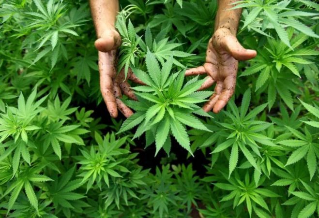 &Sigma;&upsilon;&nu;&epsilon;&lambda;ή&phi;&theta;&eta; 19&chi;&rho;&omicron;&nu;&omicron;&sigmaf; &mu;&epsilon; &nu;&alpha;&rho;&kappa;&omega;&tau;&iota;&kappa;ά &sigma;&tau;&eta; &Kappa;&rho;ή&tau;&eta;