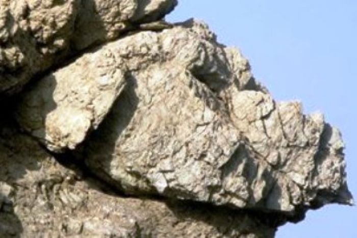 &Tau;&epsilon;&rho;ά&sigma;&tau;&iota;&omicron;&sigmaf; &beta;&rho;ά&chi;&omicron;&sigmaf; έ&pi;&epsilon;&sigma;&epsilon; &sigma;&epsilon; &sigma;&pi;ί&tau;&iota; &sigma;&tau;&alpha; &Alpha;&sigma;&kappa;ύ&phi;&omicron;&upsilon;