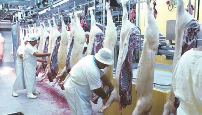 &Epsilon;&kappa;&pi;&alpha;ί&delta;&epsilon;&upsilon;&sigma;&eta; &epsilon;&kappa;&delta;&omicron;&rho;&omicron;&sigma;&phi;&alpha;&gamma;έ&omega;&nu; &alpha;&pi;ό &tau;&omicron; &tau;&mu;ή&mu;&alpha; &Epsilon;&pi;&alpha;&gamma;&gamma;&epsilon;&lambda;&mu;ά&tau;&omega;&nu; &Kappa;&rho;έ&alpha;&tau;&omicron;&sigmaf; &Alpha;&theta;&eta;&nu;ώ&nu;