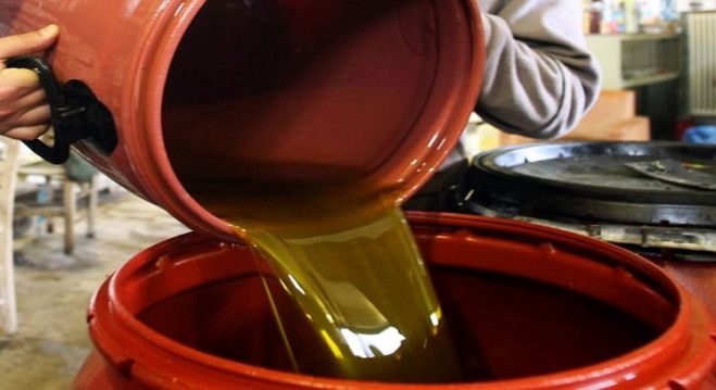 Έ&kappa;&lambda;&epsilon;&psi;&epsilon; &epsilon;&lambda;&alpha;&iota;ό&lambda;&alpha;&delta;&omicron; &sigma;&tau;&omicron; &Delta;ή&mu;&omicron; &Sigma;&eta;&tau;&epsilon;ί&alpha;&sigmaf;