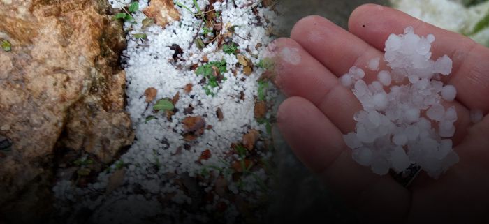 &Sigma;&tau;&eta; &Beta;&omicron;&upsilon;&lambda;ή &eta; &chi;&tau;&epsilon;&sigma;&iota;&nu;ή &chi;&alpha;&lambda;&alpha;&zeta;ό&pi;&tau;&omega;&sigma;&eta; &kappa;&alpha;&iota; &omicron;&iota; &kappa;&alpha;&tau;&alpha;&sigma;&tau;&rho;&omicron;&phi;έ&sigmaf; &tau;&omega;&nu; &pi;&alpha;&rho;&alpha;&gamma;&omega;&gamma;ώ&nu; &tau;&eta;&sigmaf; &Kappa;&rho;ή&tau;&eta;&sigmaf;